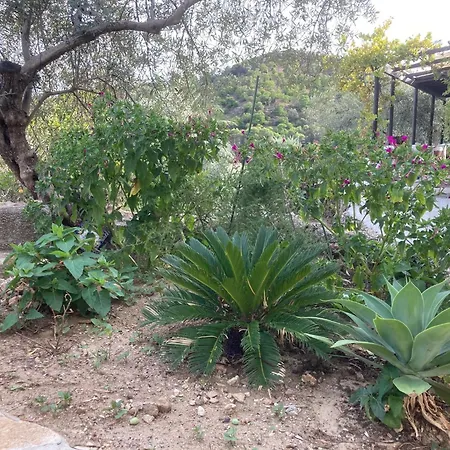 Casita La Pura Vida Holiday home