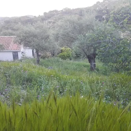 Holiday home Casita La Pura Vida *
